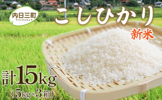 
【新米】 山口 県産 米 コシヒカリ 15kg (5kg×3箱) 無洗米 特別栽培エコ50 農家直送 (化学農薬・肥料50％以上削減/精米まで一貫加工)
