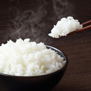 ＜先行予約！2025年9月末より順次発送予定＞≪令和7年産・新米≫ 宮城県登米市産 ひとめぼれ 10kg 精米 お米 おこめ 米 コメ 白米 ご飯 ごはん おにぎり お弁当 ブランド米【有限会社伊豆沼