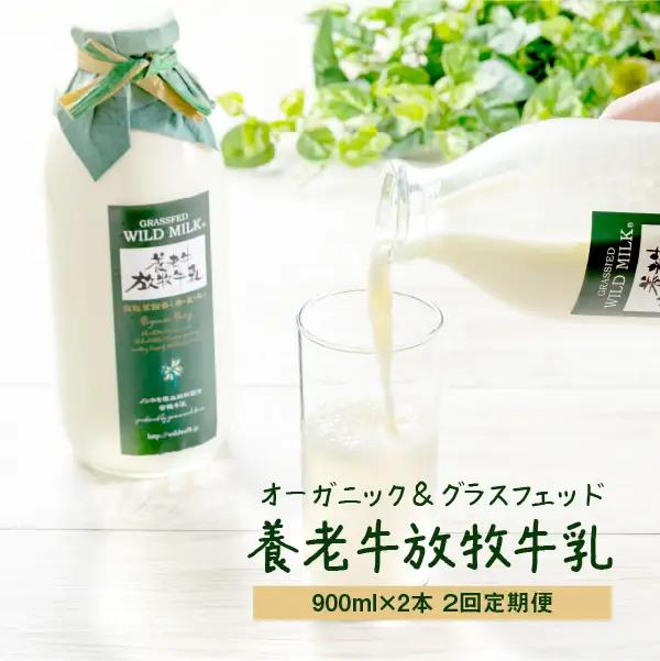 【定期便：全2回】オーガニック＆グラスフェッド養老牛放牧牛乳900ml×2本【13002AB0201】