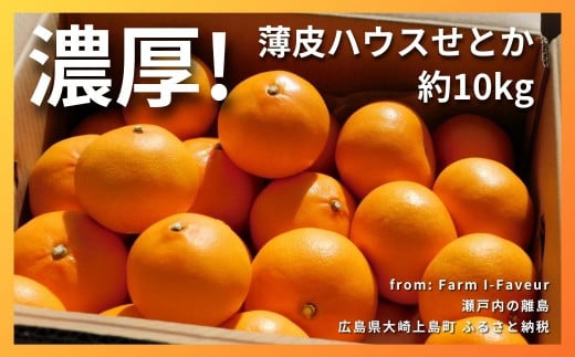 [2月発送] 濃厚!!!! 果汁たっぷり薄皮ハウスせとか 約10kg(35個程度)　広島県 大崎上島町 瀬戸内 柑橘 果物 フルーツ 贈答 ギフト