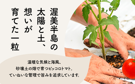 ピッコロトマト1.5㎏