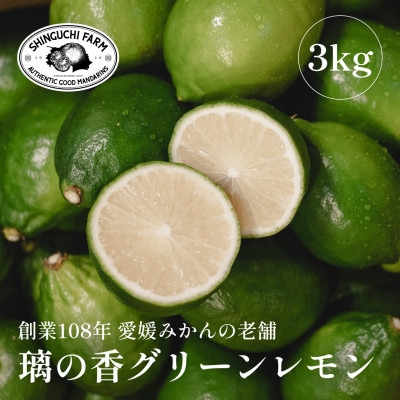 【皮が薄くて種が少ない】璃の香グリーンレモン 3kg 愛媛県産【C70−50】【1550669】