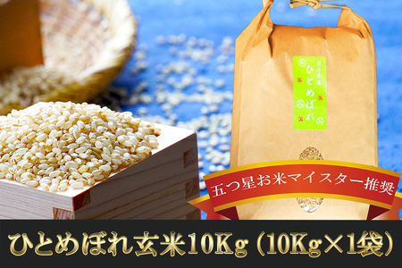 ひとめぼれ 玄米 10kg 盛岡市産 岩手 米 お米 ブランド米 いわて米 五つ星 お米マイスター 推奨 こめ コメ ライス ご飯 ごはん 美味しい 贈り物 国産 岩手県産 岩手県 盛岡市 お取り寄せ 産地直送 盛岡 佐々木米穀店