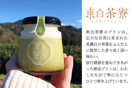 【冷凍配送】東白茶寮プリン 煎茶プリン 4個 プリン 冷凍 贈り物 ギフト 美濃白川茶 煎茶 お茶 お茶スイーツ 日本茶 緑茶 和スイーツ