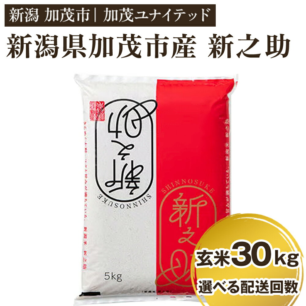 【ふるさと納税】【令和7年産新米先行予約】新潟県産 新之助 玄米30kg（10kg×3） 【選べる配送回数（通常配送1回〜定期便12回）】 《10月上旬から順次発送》 新潟 ブランド米 加茂市 加茂ユナイテッド