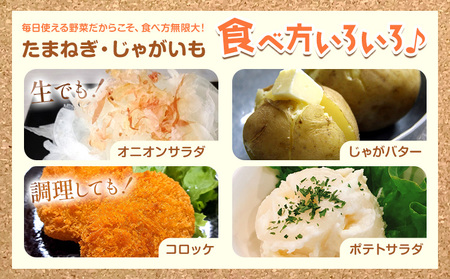 じゃがいも（キタアカリ）とたまねぎのセット 合計約10kg 北あかり 野菜 《10月中旬から順次出荷》橋枝物産 北海道 浦幌町