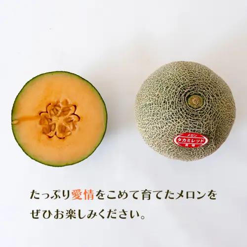 【先行受付】メロン タカミレッドメロン 1箱 2玉  2026年発送