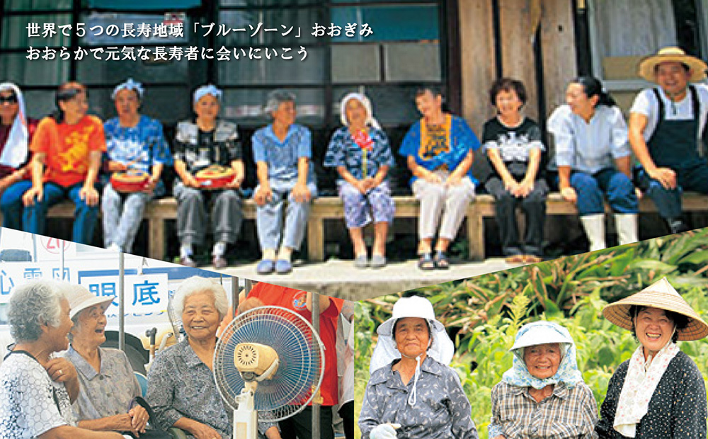 【旅行クーポン】沖縄長寿の里大宜味村 後から選べる旅行9万円分 沖縄 観光 旅行 やんばる 北部 グルメ ファミリー カップル アクティビティ 体験 トレッキング マングローブ カヌー マリンスポーツ