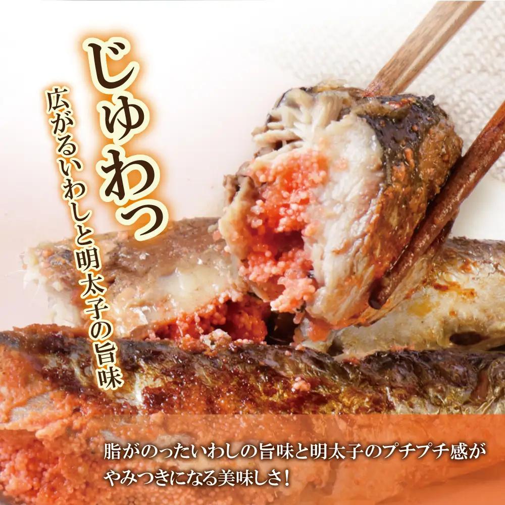 Z08-11 いわし明太 6尾 