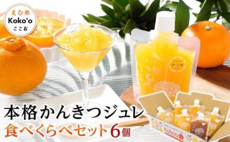 「いちずみ」食べ比べセット６個入り (ぶどう入り) (ココオ簡易BOX入り) おすすめ 人気 ギフト セット 愛媛県 松山市【KK0871】