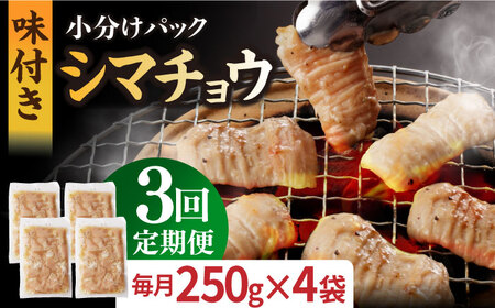 【3回定期便】【塩だれ】九州産和牛ホルモン シマチョウ 1,000g（250g×4袋） [EAX105] 定期便 国産ホルモン 和牛ホルモン ホルモンシマチョウ シマチョウホルモン ﾎﾙﾓﾝ定期便