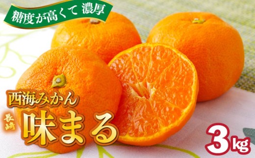【 早期受付 】 【 11月発送 】 西海みかん ｢ 味まる ｣ 3kg 産地直送 ブランドみかん 糖度 12度以上 新鮮 家庭用 温州みかん 佐世保みかん フルーツ 柑橘 オレンジ デザート ジュース ゼリー JA西海 長崎県 佐世保市