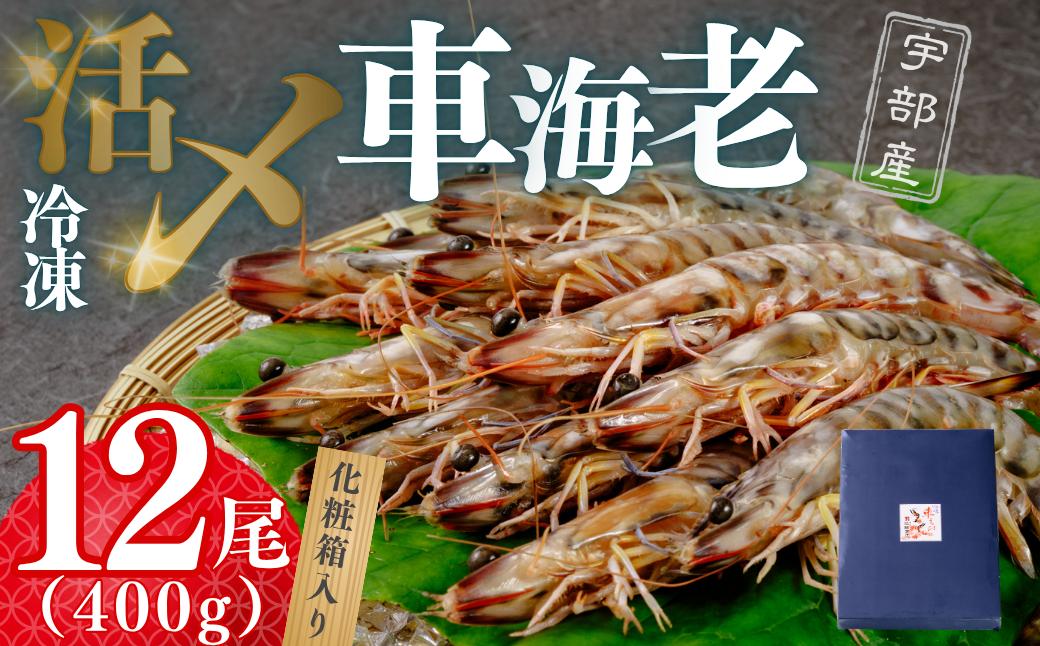 
            【活き〆】冷凍車海老 12尾 400g （化粧箱）【えび エビ 海老 海鮮 冷凍 活き〆 宇部産 車海老 車エビ エビフライ 塩焼 天ぷら お鍋 鮮度抜群 海の幸 簡単調理 プリプリ食感 大容量 化粧箱 ご贈答】
          