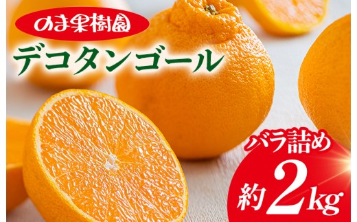 【先行予約】デコタンゴール （2kg） [K003680K2] 人気商品 国産 高級フルーツ 人気商品 みかん 柑橘 フルーツ 果物 乃万青果 のま果樹園 不知火 ポンカン