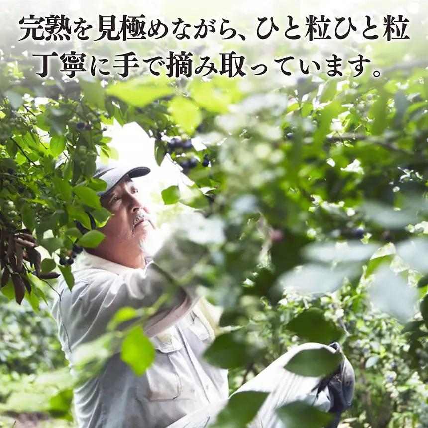 冷凍ブルーベリー 500g | 冷凍便 フルーツ 果物 くだもの ベリー 低農薬 健康 産地直送 健康 おやつ 美容 完熟 こだわり | 奈良県 五條市