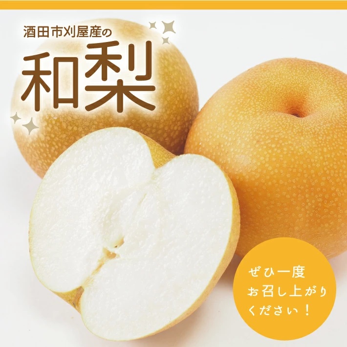 SA2611　刈屋梨 和梨 (品種おまかせ)　約3kg