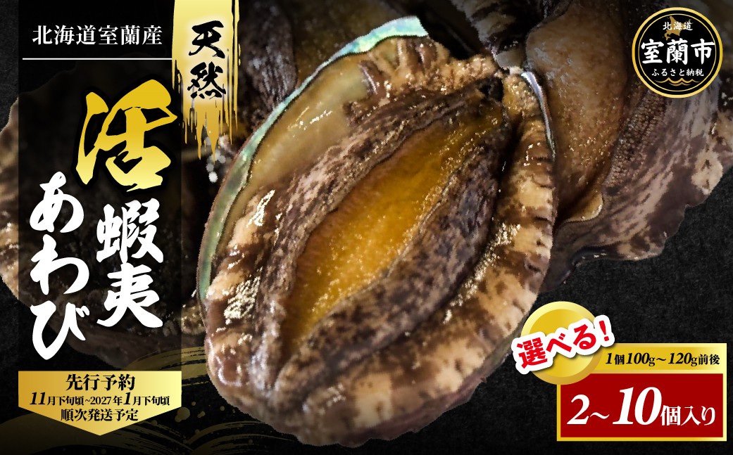 
                  北海道室蘭産 天然活蝦夷あわび 選べる数量 2個 / 3個  / 4個  / 5個  / 10個（1個100g～120g前後）2026年11月下旬頃～2027年1月下旬頃順次発送 【 ふるさと納税 人気 おすすめ ランキング ホタテ あわび アワビ 鮑 蝦夷あわび 蝦夷アワビ 海鮮 新鮮 北海道産 北海道 室蘭市 送料無料 】 MROH006-v
                