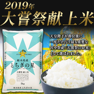 【定期便6回】とちぎの星 5kg×4 (20kg) 