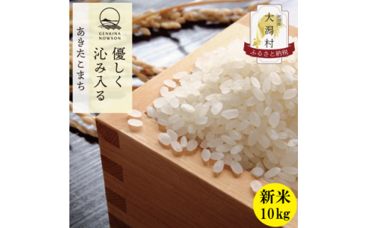 秋田県産　あきたこまち＜令和6年産＞白米10kg(5kg×2)《10月中旬より発送【1414472】