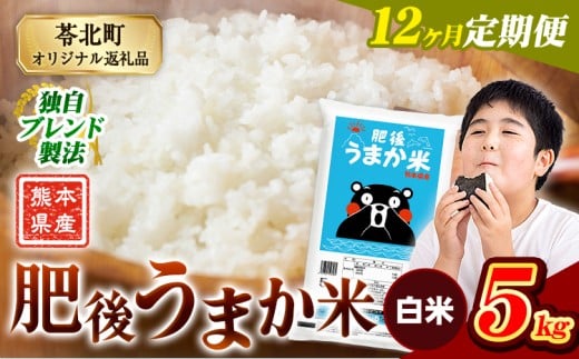 【12か月定期便】米 白米 熊本県産 肥後うまか米 5kg 精米 こめ  コメ お米 おこめ ブレンド米《申込月の翌月から出荷開始》熊本県産  コメ お米 おこめ