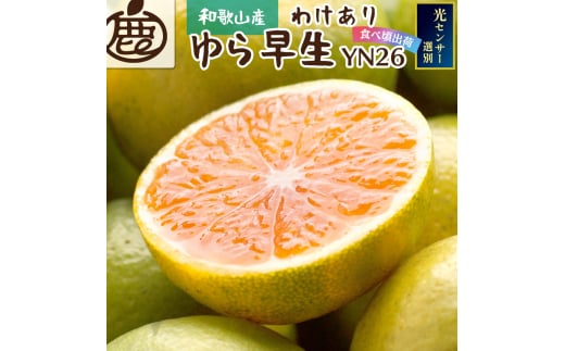 家庭用 極早生有田みかん2.5kg+75g（傷み補償分）【YN26・ゆら早生】【わけあり】※北海道・沖縄・離島への配送不可