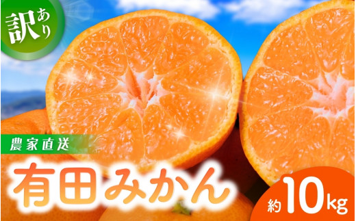 【先行予約】 和歌山県産 有田みかん 約10kg ※2025年11月中旬より順次発送予定【訳あり】ご家庭用 サイズ混合 （お届け日指定不可） 訳ありみかん 温州みかん サイズ混合 有機質肥料100% 柑橘 有田 産地直送 みかん フルーツ 有田ミカン 和歌山 果物 くだもの 正月 年末 年内※北海道・沖縄・離島への配送不可 【nuk138F】