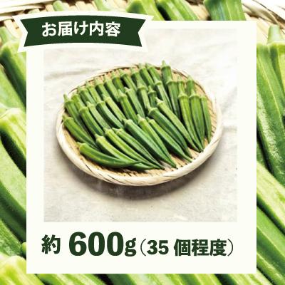 ふるさと納税 大館市 トロッとおいしいオクラ<約600g> |  | 02
