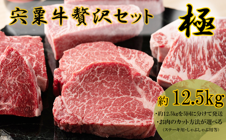 F13　宍粟牛贅沢セット【極：12.5Kg】【 ステーキ しゃぶしゃぶ 定期発送 冷蔵発送 宍粟牛 国産和牛 黒毛和牛 国産 3年肥育 牛肉 御中元 贈り物 BBQ キャンプ ご褒美】
