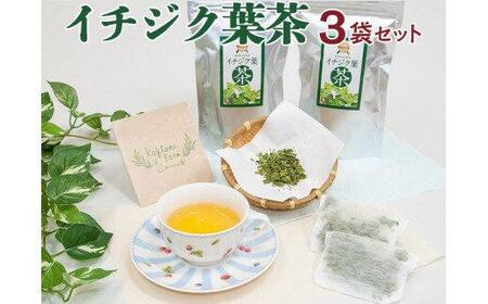 622.イチジク葉茶３袋セット※離島への配送不可※2025年7月上旬～2026年3月下旬頃に順次発送予定