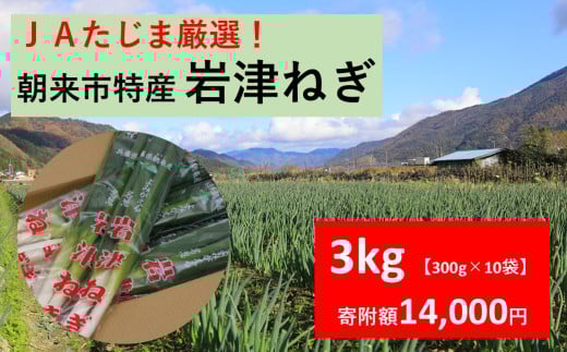 JAたじま厳選！ 朝来市特産 岩津ねぎ 3kg（300g×10袋）