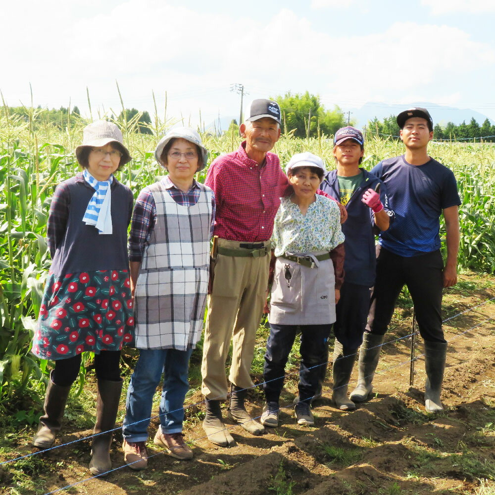 【ふるさと納税】【体験期間毎年7月上旬～8月上旬限定】竹田市菅生のスイートコーン！その場でガブリ！収穫体験 お1人様5本持ち帰れる 1チケット15名様 収穫体験 チケット スイートコーン 野菜収穫 とうもろこし収穫 大分県産 竹田市 送料無料