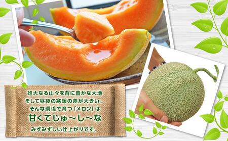 【先行予約】北海道産赤肉メロン合計3kg前後（2玉入）2026年7月中旬から順次発送予定 | メロン _01979