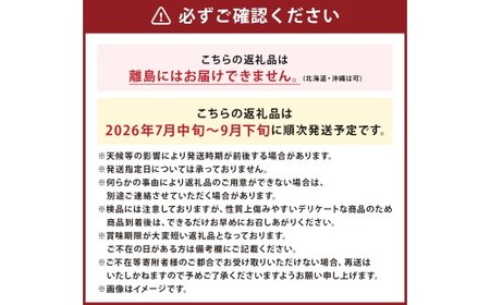 いわてひろファームの「岩手にのへきゅうり」訳アリ・Ｂ品 10kg（5kg×2箱） 【2025年7月中旬から2025年9月下旬発送予定】／訳あり きゅうり キュウリ 胡瓜 野菜 B品 新鮮 採れたて 直