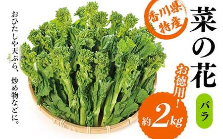 菜の花 バラ (約2kg) なの花 菜の花 おひたし 天ぷら 炒め物 春 野菜 食品 名産 四国 F5J-378