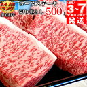 【ふるさと納税】【7営業日以内発送】京の肉 ひら山厳選 京都府産 黒毛和牛 ロース ステーキ 切り落とし 100g×5枚 計500g｜特選 A5・A4ランク 熟成肉 和牛 牛肉 京都肉 国産 丹波産 冷凍 ふるさと納税牛肉