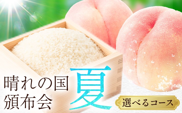 
                  晴れの国頒布会 夏 選べる お届けコース 無洗米 5kg 10kg 20kg 白桃 1kg 1.3kg 2kg 《ページ内記載の時期に発送》岡山県 笠岡市 フルーツ 旬 果物 桃 コメ お取り寄せ
                