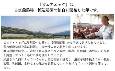 【定期便】やさしい甘みあふれる卵『ピュア・エッグ』30個×３か月お届け コクがあるのにフルーティーな甘さ 新潟 糸魚川