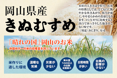 【2616-0247】真庭市産きぬむすめ 無洗米5kg×6回(定期便)