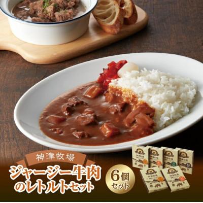 ふるさと納税 下仁田町 ジャージー牛肉のレトルト(カリー・ハヤシ・シチュー・ビーフ煮込み) 計6個セット  F21K-506