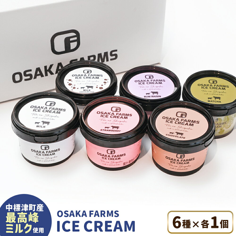 【ふるさと納税】OSAKA FARMS ICE CREAM 詰め合わせ6個入りセット（ミルク・チョコ・イチゴ・抹茶・チョコチップ・ラムレーズン）各1個 | ふるさと納税 北海道 中標津 アイス 天のしずく セット スイーツ お取り寄せ ワンストップ マイページ OSAKA FARMS 中標津町【51013】