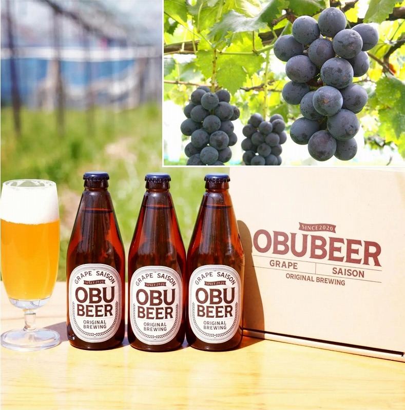 【８月発送】巨峰を使ったすっきりな味わいのクラフトビールOBUBEER【巨峰】 3本と大府産巨峰１キロのOBUセット  AX04 air