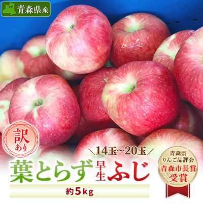 「葉とらず早生ふじ」約5kg・訳あり家庭用りんご【配送不可地域：離島・沖縄】【1142406】