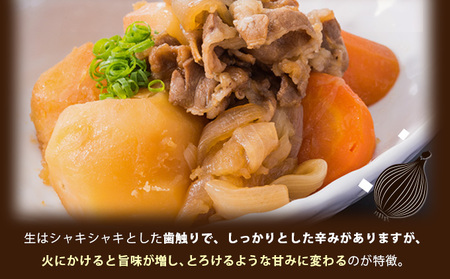 真珠の玉葱 Lサイズ5kg ≪海のミネラルで育てた玉葱≫【50103】