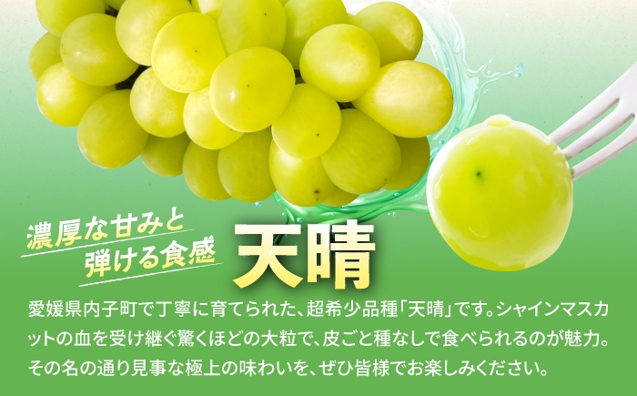 天晴 シャインマスカット 天山 フルーツ ふるーつ くだもの 果物 愛媛県 内子町 産地直送 完熟 高糖度