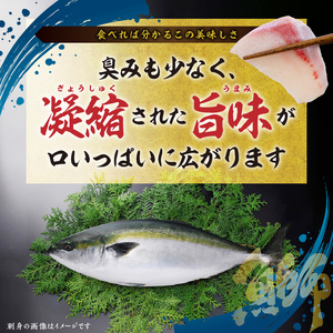 S042-005_活〆天草ぶり ブリフィレ 約1.5kg【先行予約】