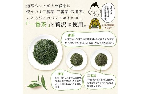 【緑茶】 ペットボトル 500ml×48本 いなば園 牧之原市
