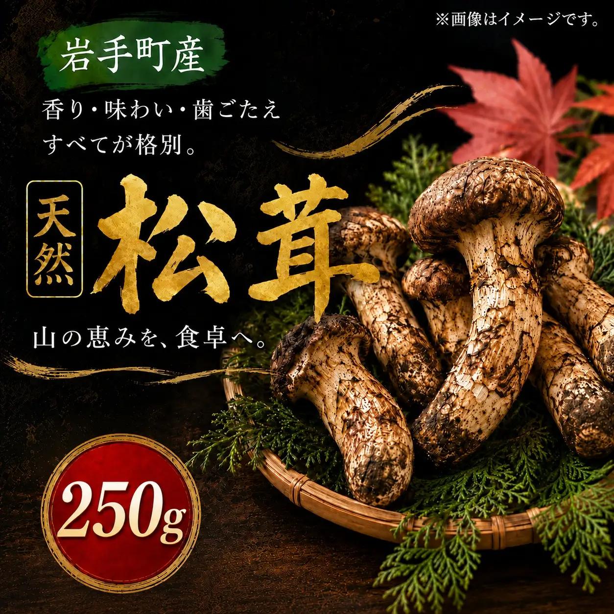 【2027年発送先行予約】松茸 250g 岩手町産 天然 松茸