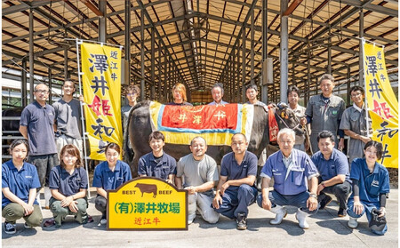 近江牛切り落とし250ｇ【 近江牛 ハラルビーフ 切り落とし 澤井姫和牛 】