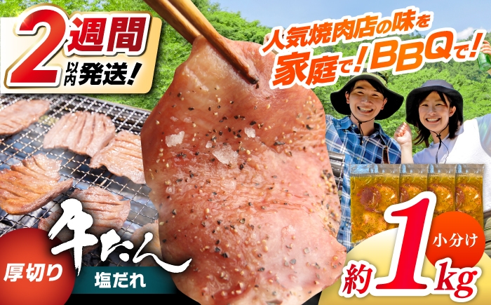 
            【年内発送 12/25入金分迄】厚切り 牛タン 塩だれ 約250g×4パック 計約1kg 小分け 個包装 味付け タレ たれ 高知県 お肉 牛肉 贅沢 焼き肉 BBQ バーベキュー 訳あり わけあり ワケアリ 牛たん 1キロ 1000g 【焼肉寛十郎】 [ATDO022]
          