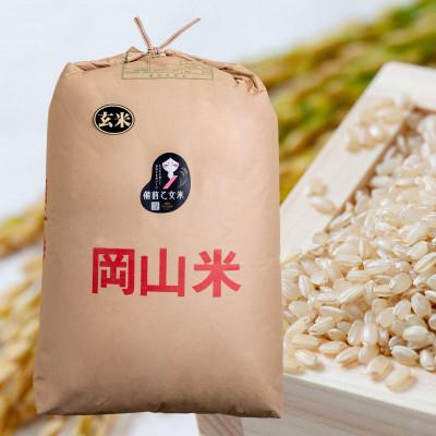 ふるさと納税 岡山市 【石原果樹園】令和8年産　備前乙女米　玄米30kg×1袋(BOB30-1)
